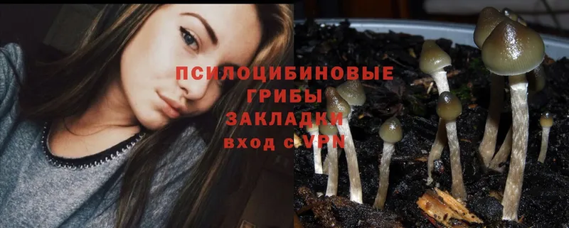 Галлюциногенные грибы MAGIC MUSHROOMS  Бодайбо 